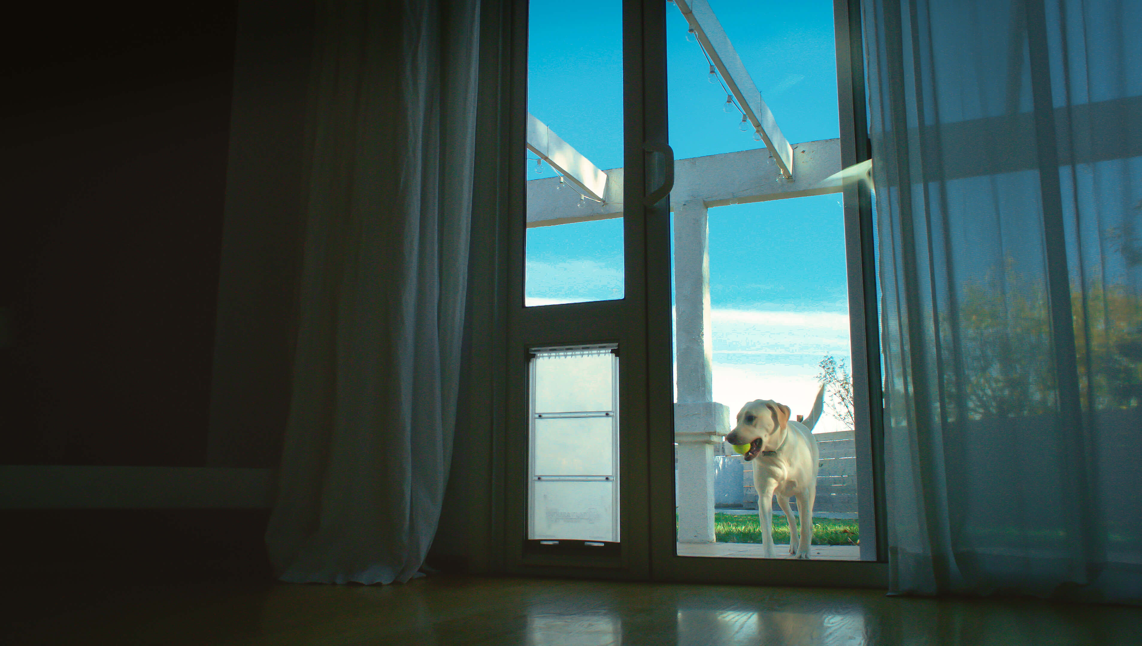 Top Dog Doors for Sliding Doors A Comprehensive Review