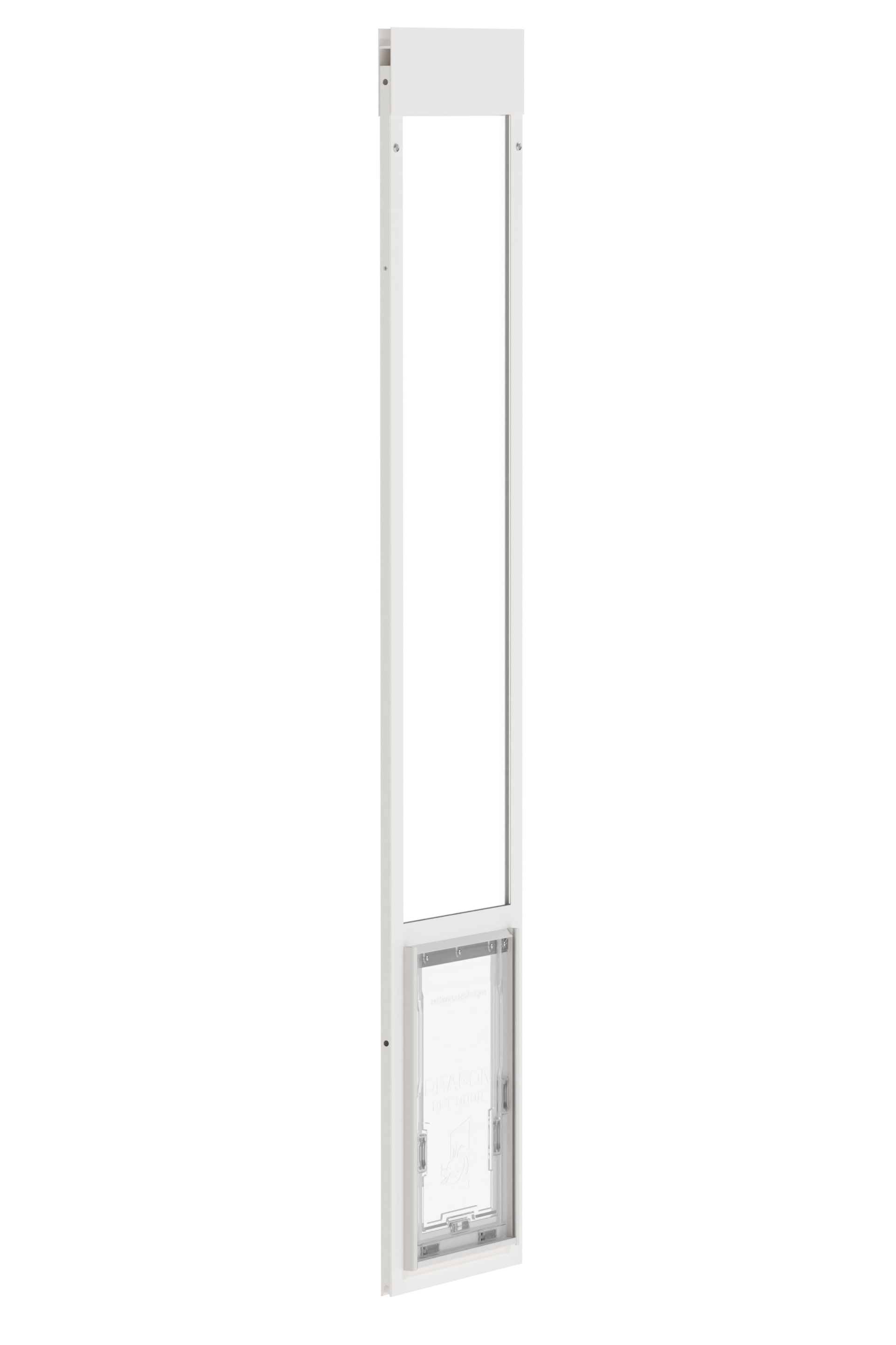 Dragon Double Flap Pet Door: Customized, Insulated Access for Your Furry  Friend! – Dragon Pet Door
