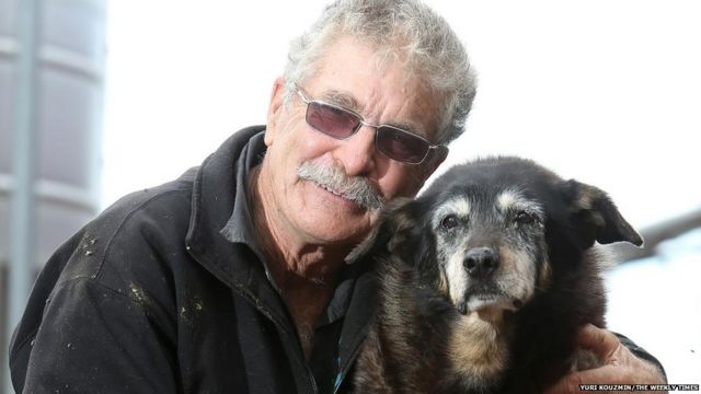 What Do You Know About the World’s Oldest Dog?