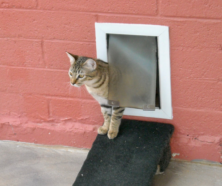 Can I Install a Pet Door Into My Basement Window?