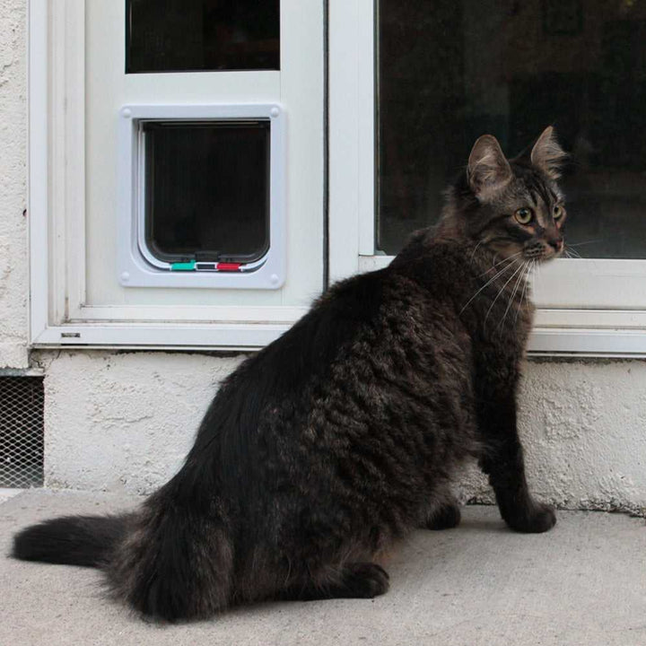 Whiskers & Windows Vinyl Cat Door For Sliding Glass Door