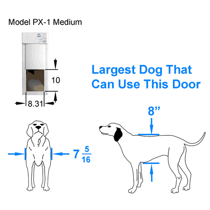 Automatic dog door large clearance