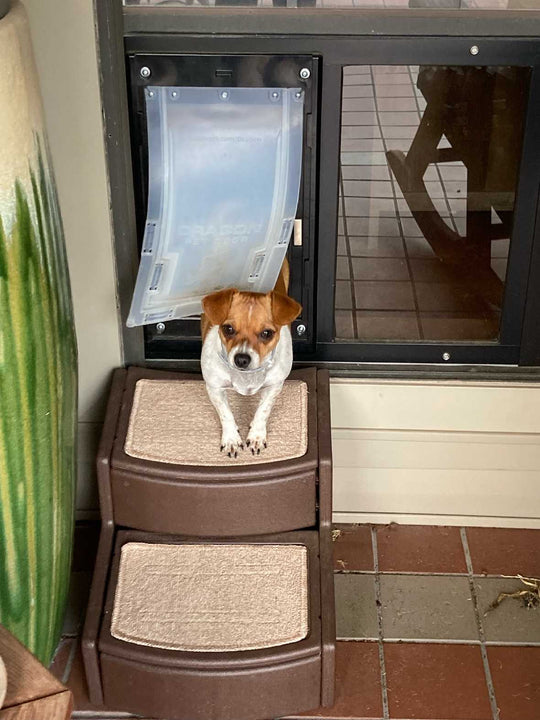 Liberty Dragon Double-Flap: Premium Sash Window Cat Door with