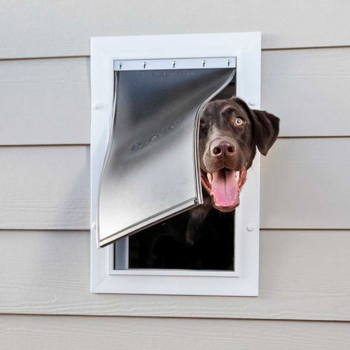 PetSafe Wall Entry Pet Door - Wall Pet Door for Dogs & Cats