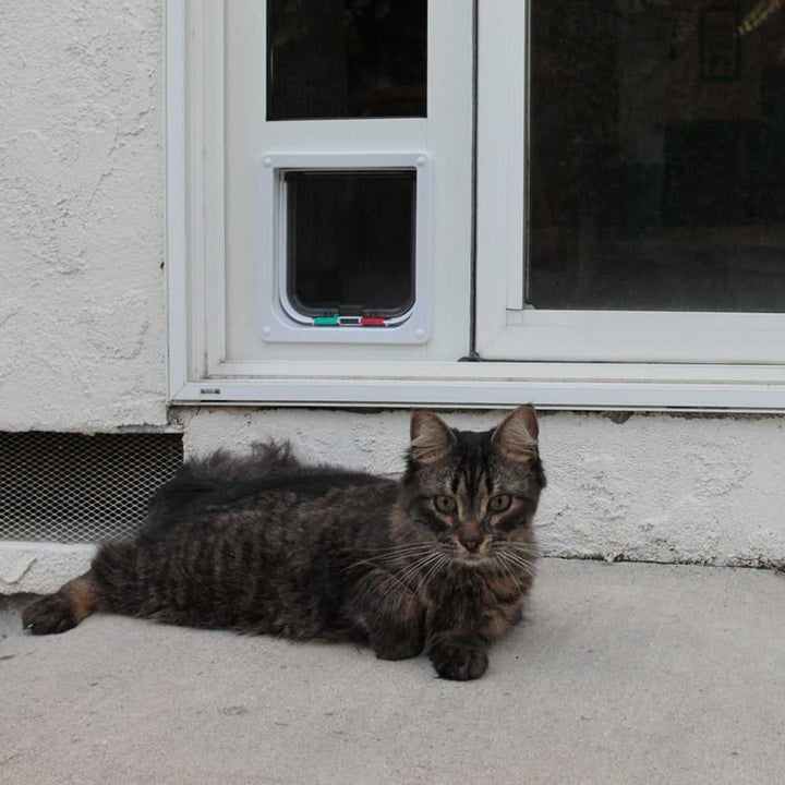 Custom Whiskers & Windows Cat Door For Sliding Glass Door