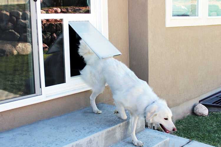 Customizable In-Glass Pet Door: Perfect Fit for Sliding & French