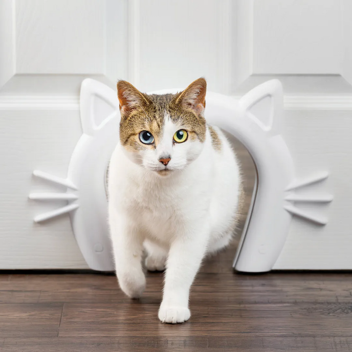 PetSafe Wall Entry Pet Door: Give Freedom to Your Dogs & Cats
