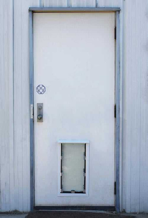 Hale Cat Door for Doors