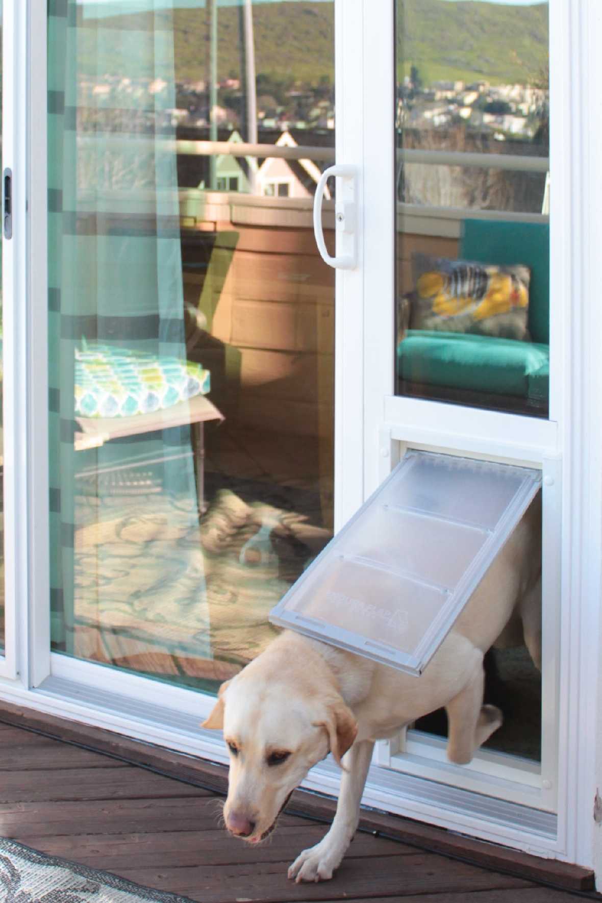 Best Dog Door for Sliding Glass Doors - Locking Pet Dog Door for Glass